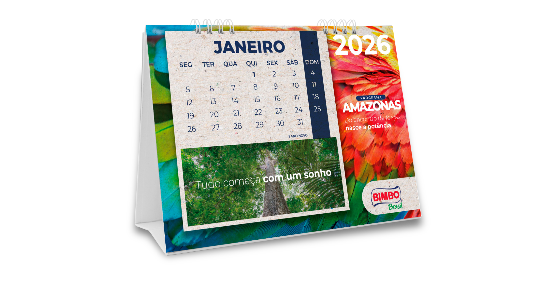 Calendário Amazonas
